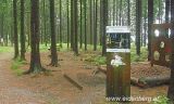 Wanderweg Eidenberg - Gymnastikweg
